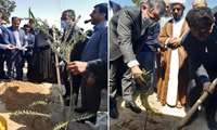 وزیر جهاد کشاورزی برای تحقق شعار کاشت یک میلیارد اصله نهال در کشور، ۲ اصله نهال در دلوار کاشت.