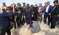  فرماندار تنگستان از برگزاری آئین طرح مردمی کاشت یک میلیارد درخت در تنگستان خبر داد.
