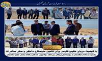 فرماندارتنگستاان در بخش دلوار در زمینه تجارت، صیادی و شیلات نه تنها اهالی تنگستان بلکه از اقصی نقاط کشور در این بخش درحال فعالیت هستند.